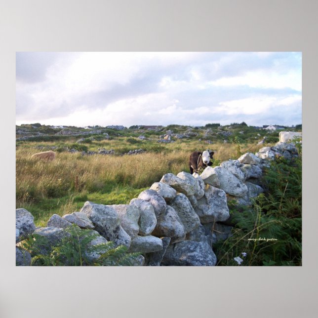 Rural Ireland Poster (Front)