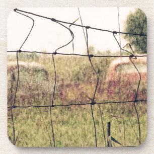 Rural Junkyard, Vechicles Rusting Away in a Field Coaster
