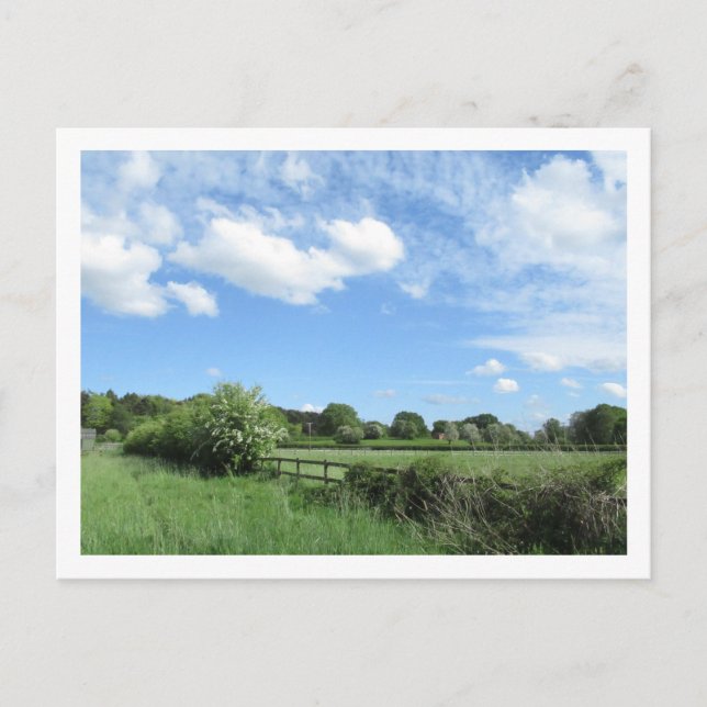 Rural Landscape in May Postcard (Front)