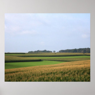 Rural Midwest Farm Field Landscape Colour 16x20 Poster