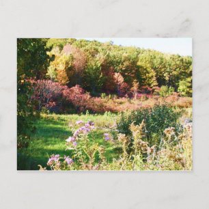 RURAL NEW YORK STATE postcard