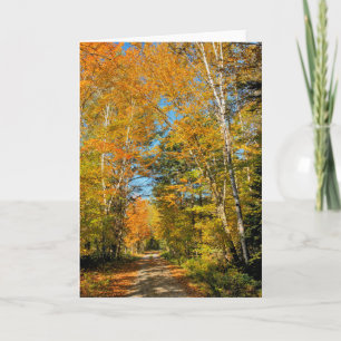 Rural Road Autumn Colours New Hampshire Card