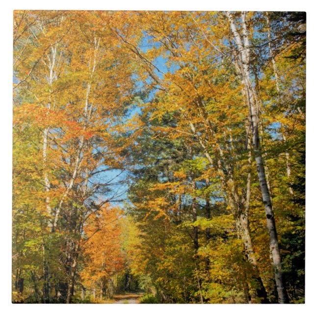 Rural Road Autumn Colours New Hampshire Ceramic Tile (Front)