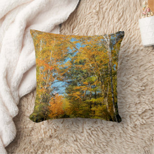 Rural Road Autumn Colours New Hampshire Cushion