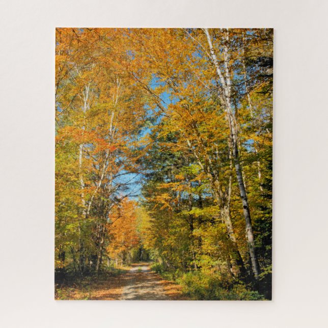 Rural Road Autumn Colours New Hampshire Jigsaw Puzzle (Vertical)