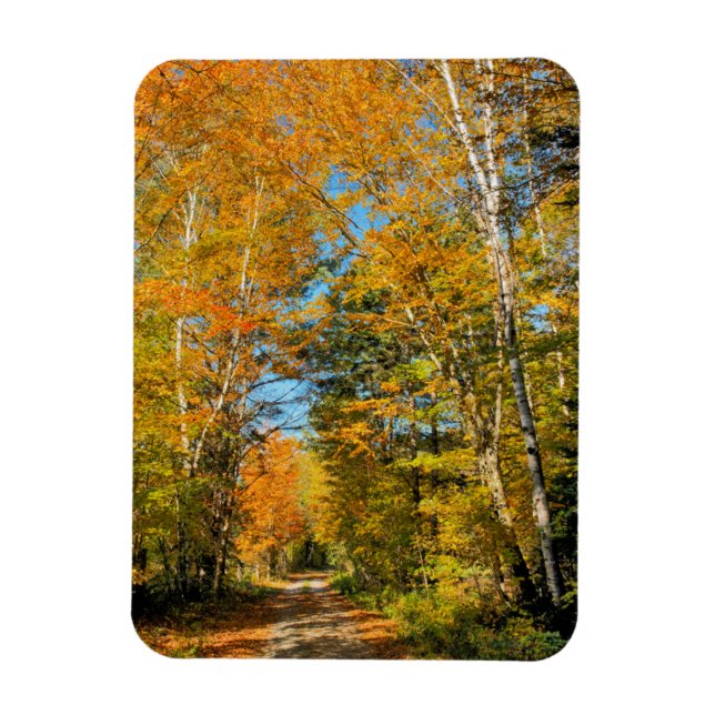 Rural Road Autumn Colours New Hampshire Magnet (Vertical)