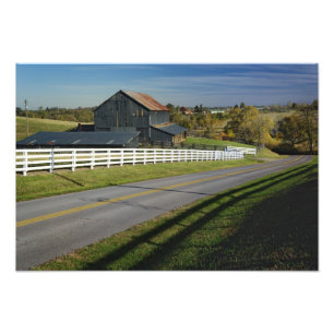 Rural road through Bluegrass region of 2 Photo Print