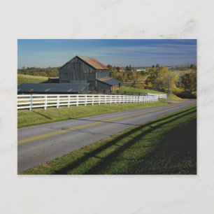 Rural road through Bluegrass region of 2 Postcard