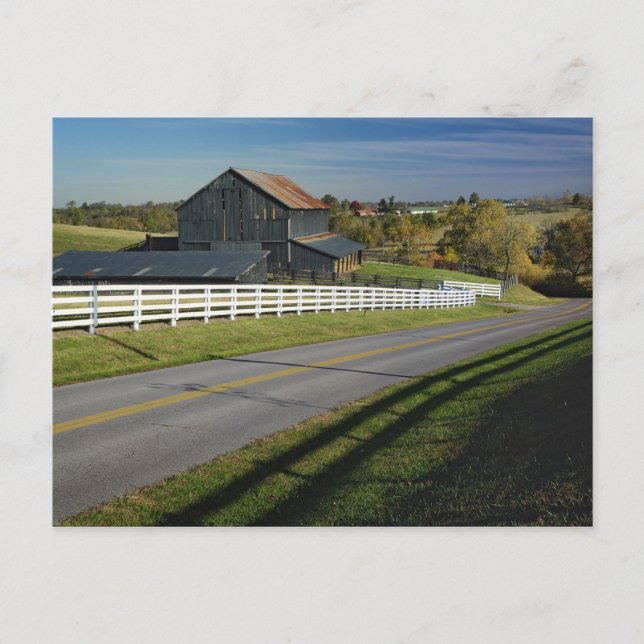 Rural road through Bluegrass region of 2 Postcard (Front)