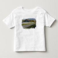 Rural road through Bluegrass region of 2