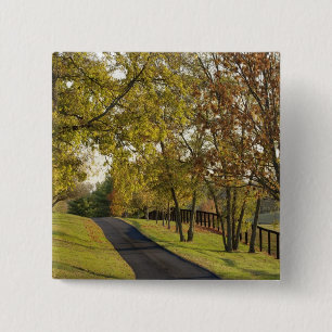 Rural road through Bluegrass region of Kentucky 2 15 Cm Square Badge