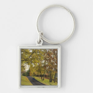 Rural road through Bluegrass region of Kentucky 2 Key Ring