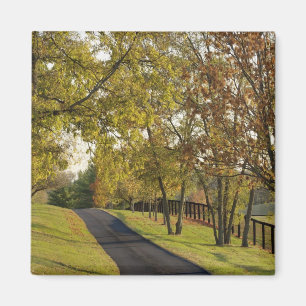 Rural road through Bluegrass region of Kentucky 2 Magnet