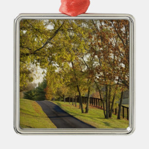 Rural road through Bluegrass region of Kentucky 2 Metal Tree Decoration