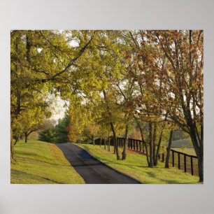 Rural road through Bluegrass region of Kentucky 2 Poster