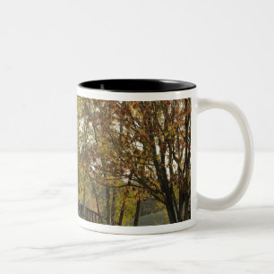 Rural road through Bluegrass region of Kentucky 2 Two-Tone Coffee Mug