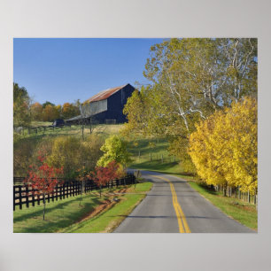 Rural road through Bluegrass region of Kentucky Poster