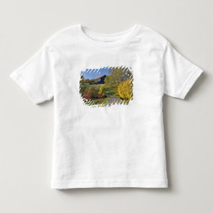 Rural road through Bluegrass region of Kentucky Toddler T-Shirt