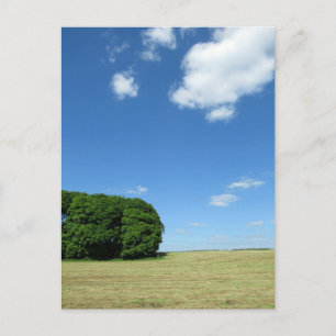 Rural Still Life: Cheshire Postcard