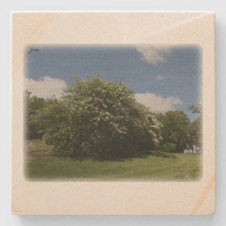 Rural Sweden June Stone Coaster