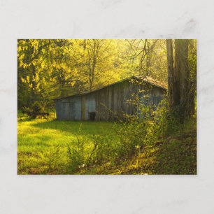 Rural Tennessee Spring Morning Light Postcard