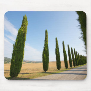 Rural Tree Lined Road, Tuscany Mouse Pad