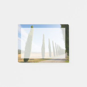 Rural Tree Lined Road, Tuscany Post-it Notes