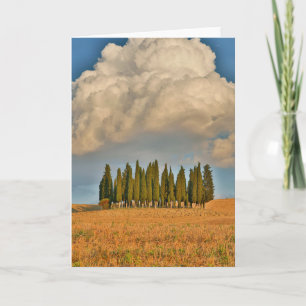 Rural Tuscany Cypress Trees Card