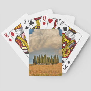 Rural Tuscany Cypress Trees Playing Cards