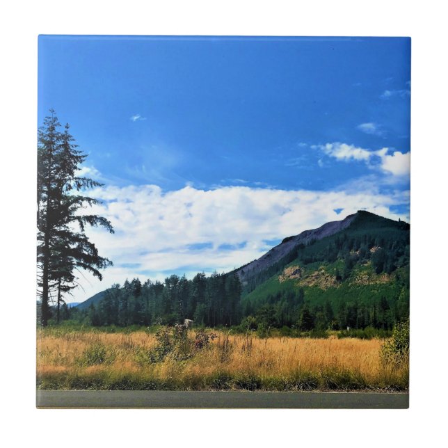 Rural Washington, Randle, WA Ceramic Tile (Front)