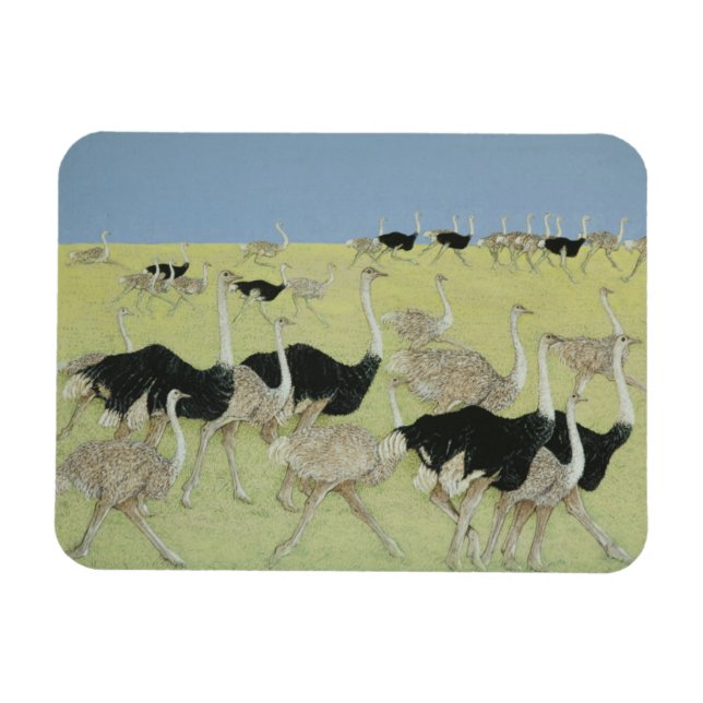 Rush hour 2 magnet (Horizontal)