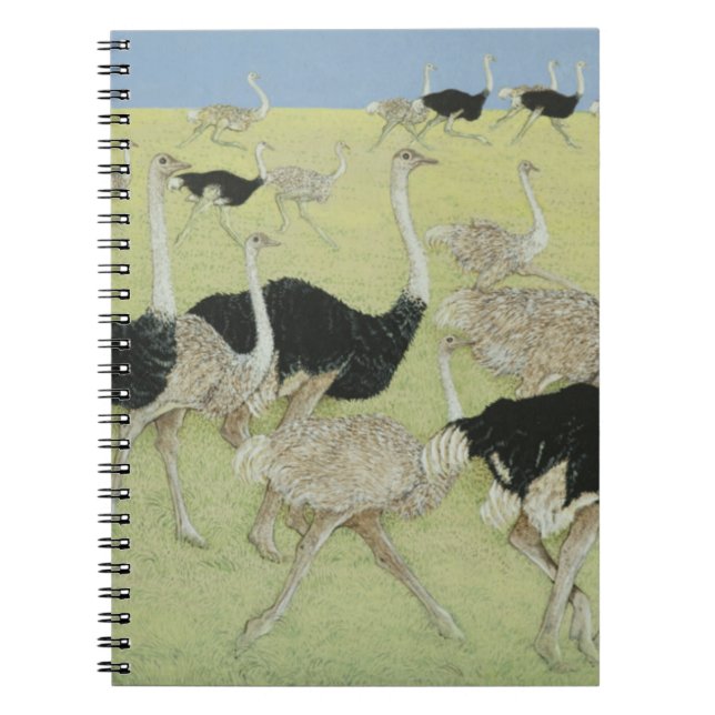 Rush hour 2 notebook (Front)