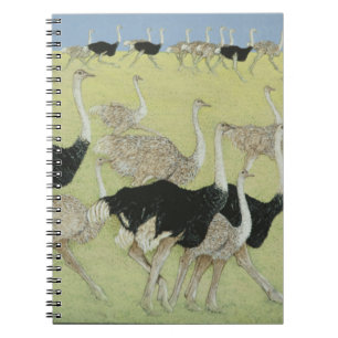 Rush hour notebook