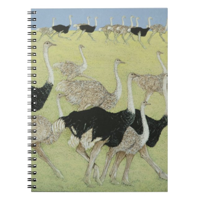 Rush hour notebook (Front)