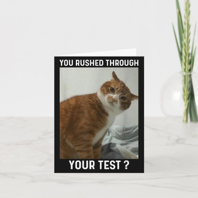 Rushed Through Test Funny Test Day Teacher Cat Card (Front)