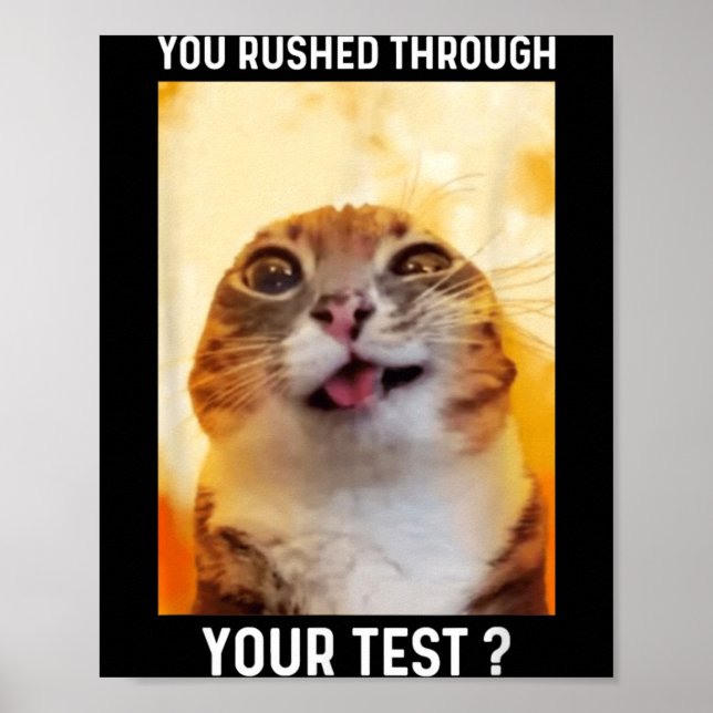 Rushed Through Test Funny Test Day Teacher Cat Poster (Front)