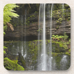 Russell Falls, Mount Field National Park, Coaster