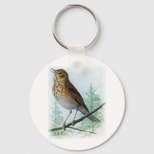 Russet-backed Thrush Key Ring (Front)