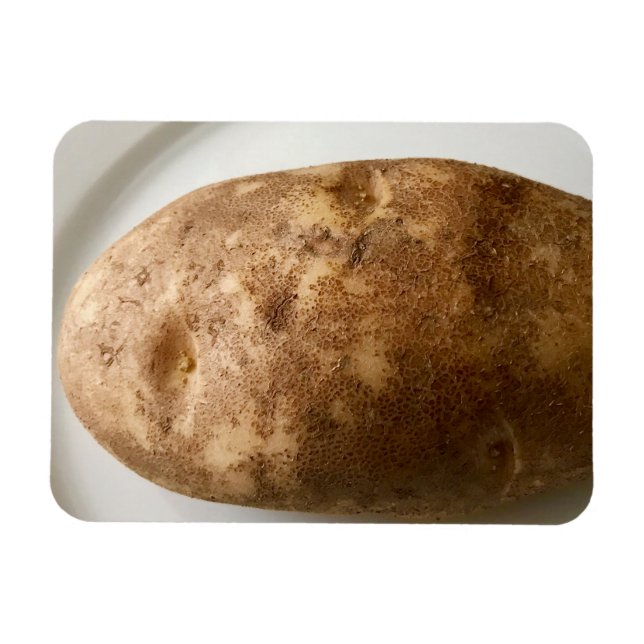 Russet Potato on White Plate Photo Magnet (Horizontal)