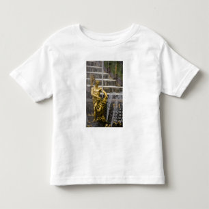 Russia, St. Petersburg, Peterhoff (aka 3 Toddler T-Shirt