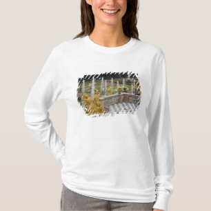 Russia, St. Petersburg, Peterhoff (aka T-Shirt