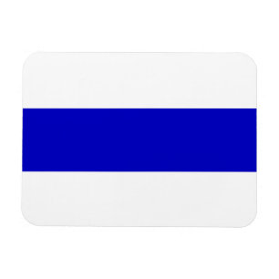 russian anti war flag ukraine blue line solidarity magnet