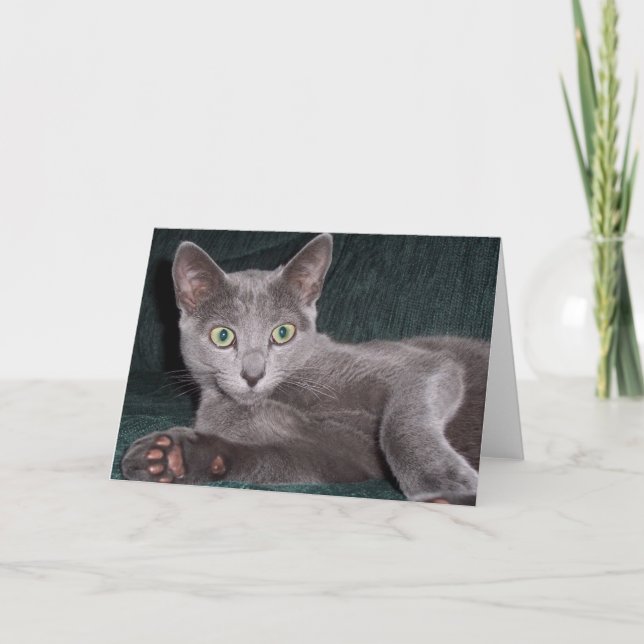 Russian Blue Card (Front)