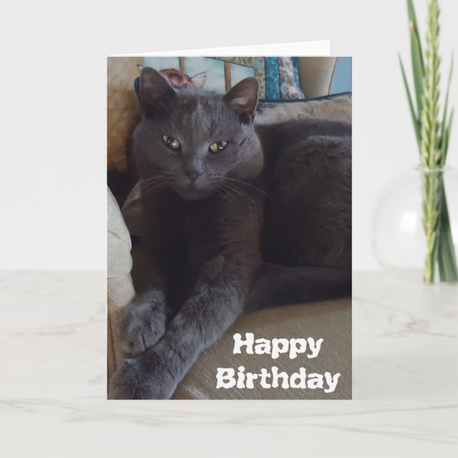 Russian Blue Card (Front)