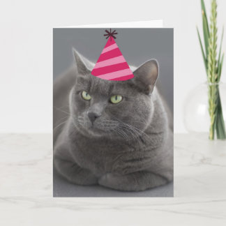Russian Blue Cat Birthday Card Focus for a Cause