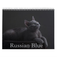 Russian Blue Cat Calendar