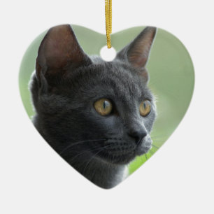 Russian Blue Cat Ceramic Ornament