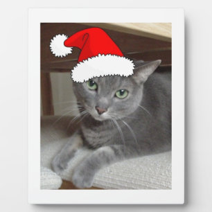 Russian Blue Cat Christmas Plaque