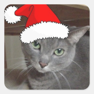Russian Blue Cat Christmas Square Sticker