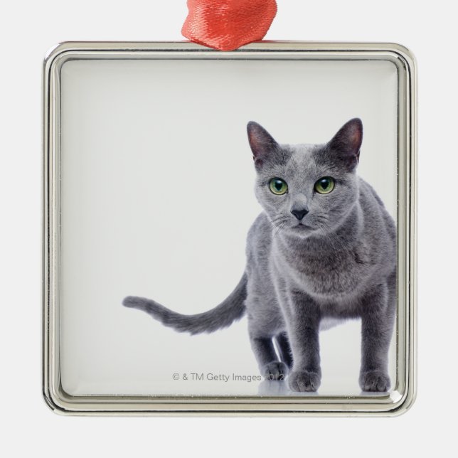 Russian Blue Cat Metal Tree Decoration (Front)